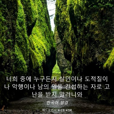 Picture 03 - 베드로전서 4:15 KOR - 너희 중에 누구든지 살인이나 - Bible Verse Picture