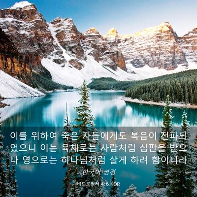 Picture 03 - 베드로전서 4:6 KOR - 이를 위하여 죽은 자들에게도 복음이 - Bible Verse Picture