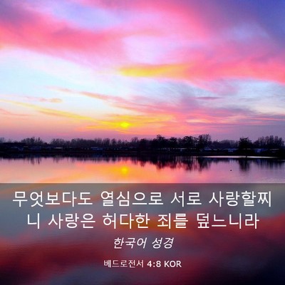 Picture 03 - 베드로전서 4:8 KOR - 무엇보다도 열심으로 서로 - Bible Verse Picture