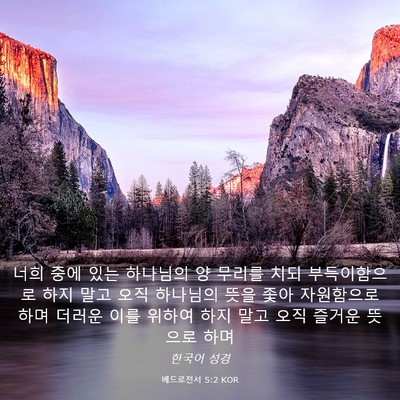 Picture 03 - 베드로전서 5:2 KOR - 너희 중에 있는 하나님의 양 무리를 - Bible Verse Picture