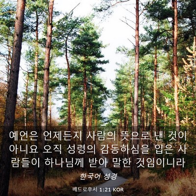 Picture 03 - 베드로후서 1:21 KOR - 예언은 언제든지 사람의 뜻으로 낸 - Bible Verse Picture