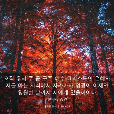 Picture 03 - 베드로후서 3:18 KOR - 오직 우리 주 곧 구주 예수 - Bible Verse Picture
