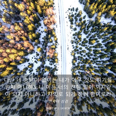 Picture 03 - 빌레몬서 1:14 KOR - 다만 네 승낙이 없이는 내가 아무 - Bible Verse Picture
