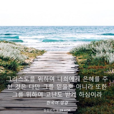 Picture 03 - 빌립보서 1:29 KOR - 그리스도를 위하여 너희에게 은혜를 - Bible Verse Picture