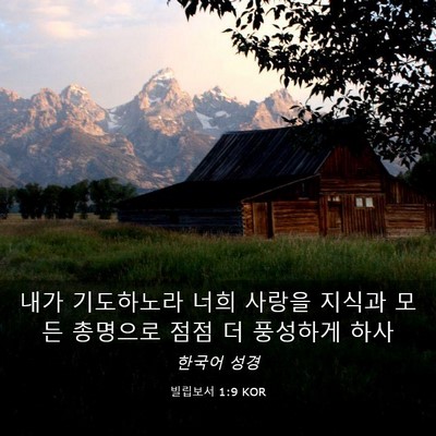 Picture 03 - 빌립보서 1:9 KOR - 내가 기도하노라 너희 사랑을 지식과 - Bible Verse Picture