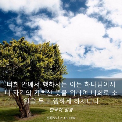 Picture 03 - 빌립보서 2:13 KOR - 너희 안에서 행하시는 이는 - Bible Verse Picture