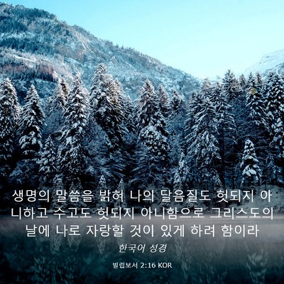 Picture 03 - 빌립보서 2:16 KOR - 생명의 말씀을 밝혀 나의 달음질도 - Bible Verse Picture