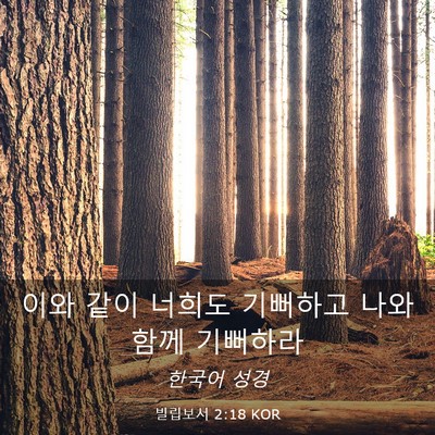 Picture 03 - 빌립보서 2:18 KOR - 이와 같이 너희도 기뻐하고 나와 - Bible Verse Picture