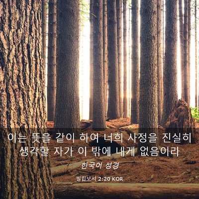 Picture 03 - 빌립보서 2:20 KOR - 이는 뜻을 같이 하여 너희 사정을 - Bible Verse Picture