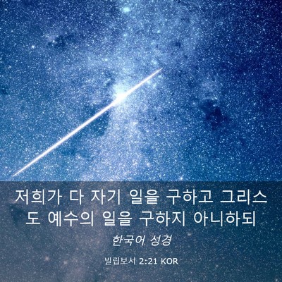 Picture 03 - 빌립보서 2:21 KOR - 저희가 다 자기 일을 구하고 - Bible Verse Picture
