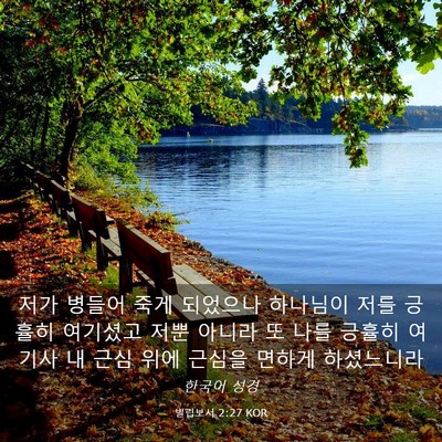 Picture 03 - 빌립보서 2:27 KOR - 저가 병들어 죽게 되었으나 하나님이 - Bible Verse Picture