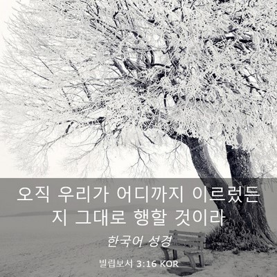 Picture 03 - 빌립보서 3:16 KOR - 오직 우리가 어디까지 이르렀든지 - Bible Verse Picture