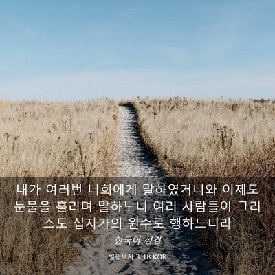 Picture 03 - 빌립보서 3:18 KOR - 내가 여러번 너희에게 말하였거니와 - Bible Verse Picture
