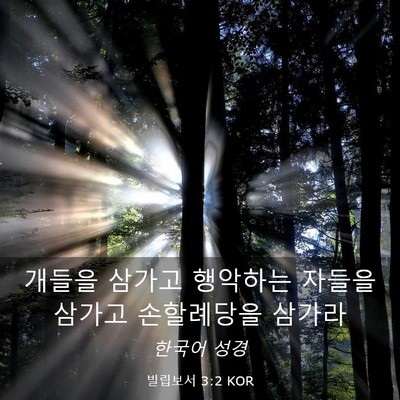 Picture 03 - 빌립보서 3:2 KOR - 개들을 삼가고 행악하는 자들을 - Bible Verse Picture