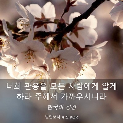 Picture 03 - 빌립보서 4:5 KOR - 너희 관용을 모든 사람에게 알게 - Bible Verse Picture