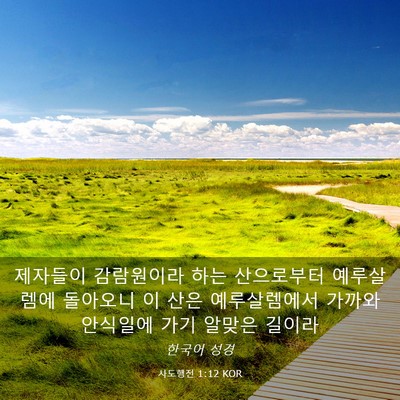 Picture 03 - 사도행전 1:12 KOR - 제자들이 감람원이라 하는 - Bible Verse Picture