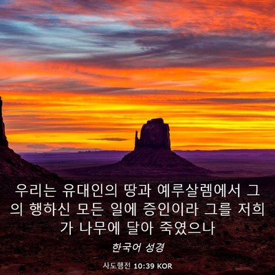 Picture 03 - 사도행전 10:39 KOR - 우리는 유대인의 땅과 예루살렘에서 - Bible Verse Picture