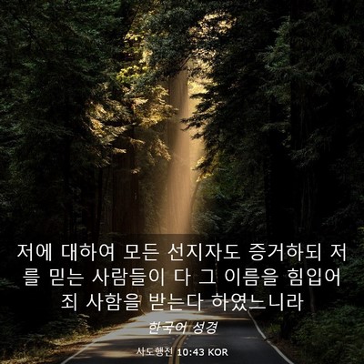 Picture 03 - 사도행전 10:43 KOR - 저에 대하여 모든 선지자도 증거하되 - Bible Verse Picture
