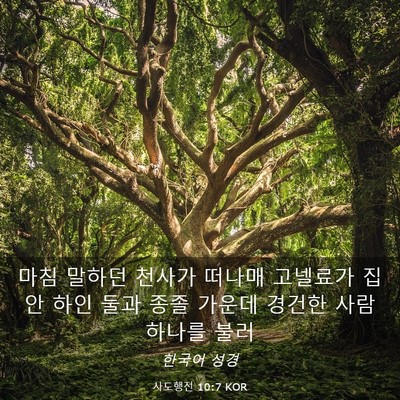 Picture 03 - 사도행전 10:7 KOR - 마침 말하던 천사가 떠나매 고넬료가 - Bible Verse Picture