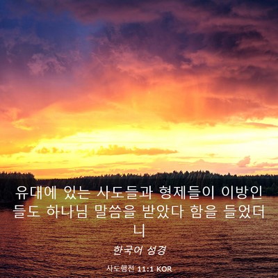 Picture 03 - 사도행전 11:1 KOR - 유대에 있는 사도들과 형제들이 - Bible Verse Picture