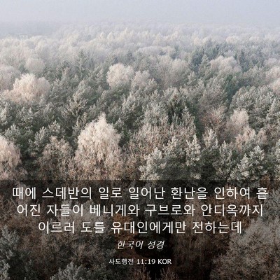 Picture 03 - 사도행전 11:19 KOR - 때에 스데반의 일로 일어난 환난을 - Bible Verse Picture