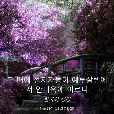 Picture 03 - 사도행전 11:27 KOR - 그 때에 선지자들이 예루살렘에서 - Bible Verse Picture