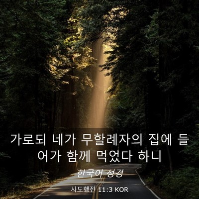 Picture 03 - 사도행전 11:3 KOR - 가로되 네가 무할례자의 집에 들어가 - Bible Verse Picture