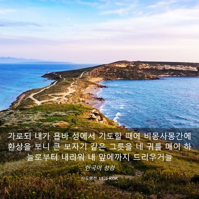 Picture 03 - 사도행전 11:5 KOR - 가로되 내가 욥바 성에서 기도할 - Bible Verse Picture