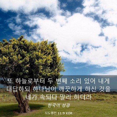 Picture 03 - 사도행전 11:9 KOR - 또 하늘로부터 두 번째 소리 있어 - Bible Verse Picture