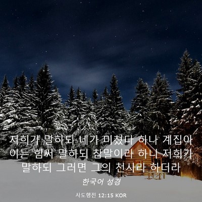 Picture 03 - 사도행전 12:15 KOR - 저희가 말하되 네가 미쳤다 하나 - Bible Verse Picture