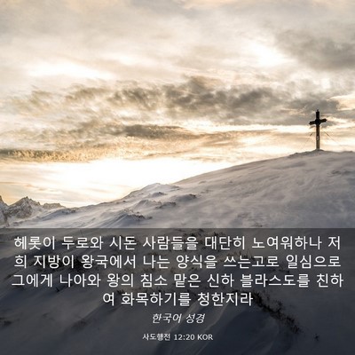 Picture 03 - 사도행전 12:20 KOR - 헤롯이 두로와 시돈 사람들을 대단히 - Bible Verse Picture