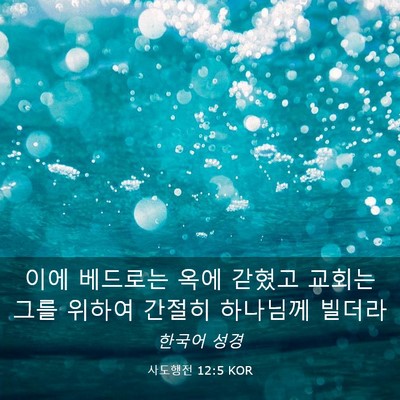 Picture 03 - 사도행전 12:5 KOR - 이에 베드로는 옥에 갇혔고 교회는 - Bible Verse Picture