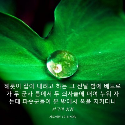 Picture 03 - 사도행전 12:6 KOR - 헤롯이 잡아 내려고 하는 그 전날 - Bible Verse Picture
