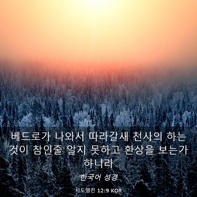 Picture 03 - 사도행전 12:9 KOR - 베드로가 나와서 따라갈새 천사의 - Bible Verse Picture