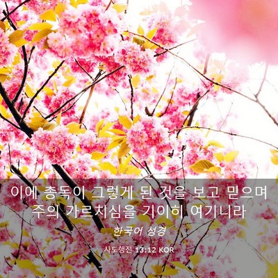 Picture 03 - 사도행전 13:12 KOR - 이에 총독이 그렇게 된 것을 보고 - Bible Verse Picture