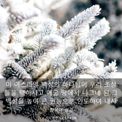 Picture 03 - 사도행전 13:17 KOR - 이 이스라엘 백성의 하나님이 우리 - Bible Verse Picture