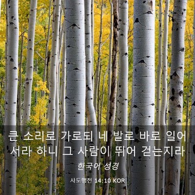 Picture 03 - 사도행전 14:10 KOR - 큰 소리로 가로되 네 발로 바로 - Bible Verse Picture