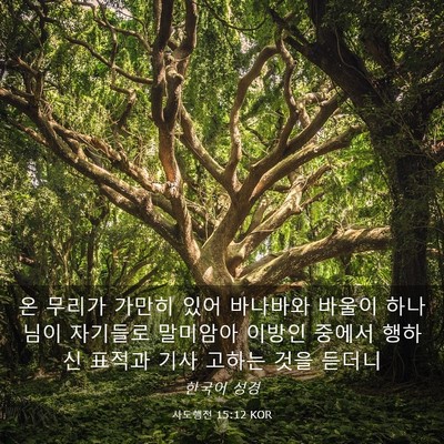 Picture 03 - 사도행전 15:12 KOR - 온 무리가 가만히 있어 바나바와 - Bible Verse Picture
