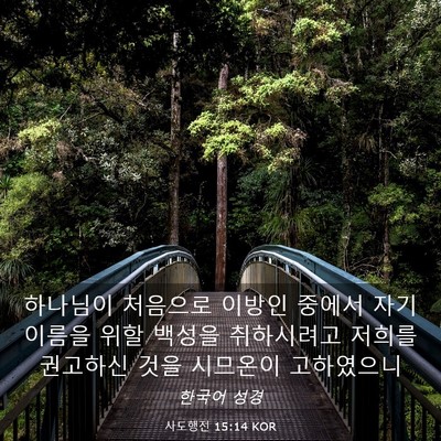 Picture 03 - 사도행전 15:14 KOR - 하나님이 처음으로 이방인 중에서 - Bible Verse Picture
