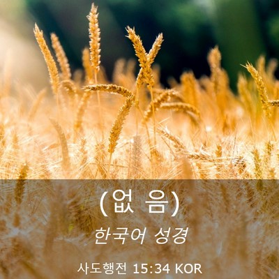 Picture 03 - 사도행전 15:34 KOR - (없 - Bible Verse Picture