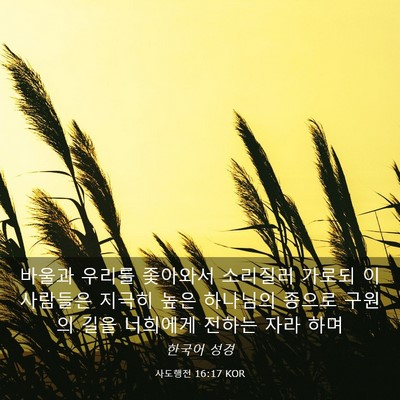 Picture 03 - 사도행전 16:17 KOR - 바울과 우리를 좇아와서 소리질러 - Bible Verse Picture