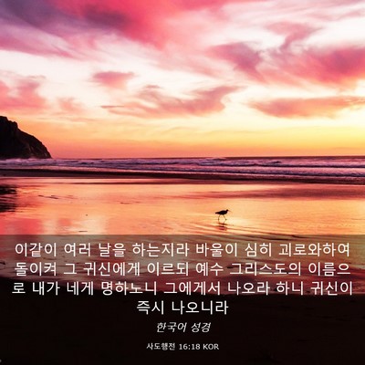 Picture 03 - 사도행전 16:18 KOR - 이같이 여러 날을 하는지라 바울이 - Bible Verse Picture