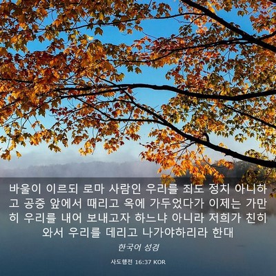 Picture 03 - 사도행전 16:37 KOR - 바울이 이르되 로마 사람인 우리를 - Bible Verse Picture