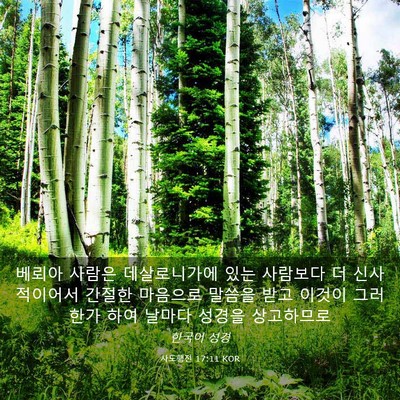 Picture 03 - 사도행전 17:11 KOR - 베뢰아 사람은 데살로니가에 있는 - Bible Verse Picture