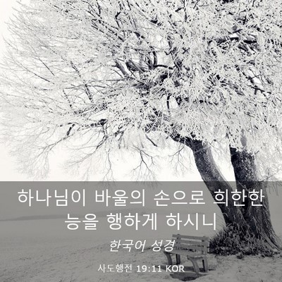 Picture 03 - 사도행전 19:11 KOR - 하나님이 바울의 손으로 희한한 능을 - Bible Verse Picture