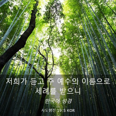 Picture 03 - 사도행전 19:5 KOR - 저희가 듣고 주 예수의 이름으로 - Bible Verse Picture