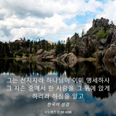 Picture 03 - 사도행전 2:30 KOR - 그는 선지자라 하나님이 이미 - Bible Verse Picture