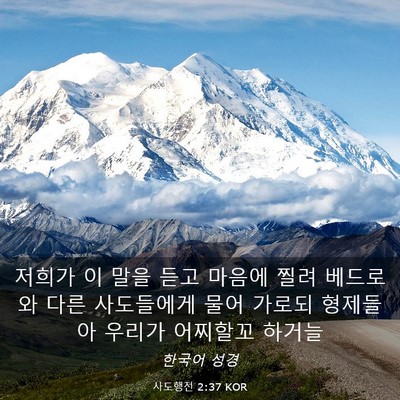 Picture 03 - 사도행전 2:37 KOR - 저희가 이 말을 듣고 마음에 찔려 - Bible Verse Picture