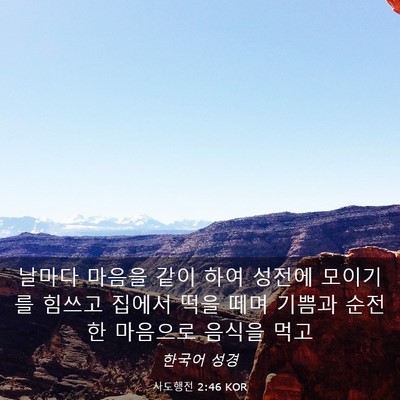 Picture 03 - 사도행전 2:46 KOR - 날마다 마음을 같이 하여 성전에 - Bible Verse Picture