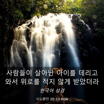 Picture 03 - 사도행전 20:12 KOR - 사람들이 살아난 아이를 데리고 와서 - Bible Verse Picture